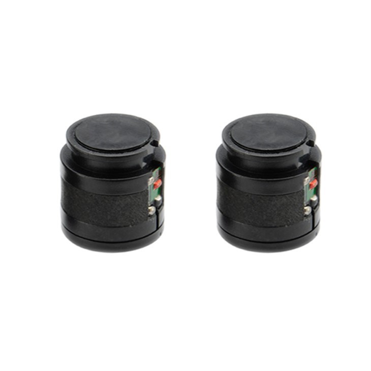 2025 Dynamic Microphone Capsules
