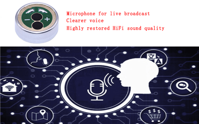 Bedeutung der Mikrofonkapselleistung für Rauschunterdrückungsalgorithmen