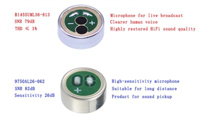 Differenz zwischen Mikrofonkapsel-Signal-Rausch-Verhältnis (SNR) und Interfer...