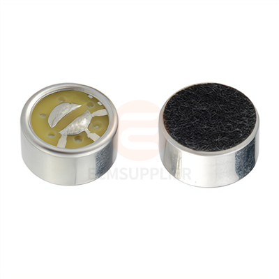 Bidirektionales Mikrofon